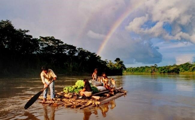 Tambopata Project_1